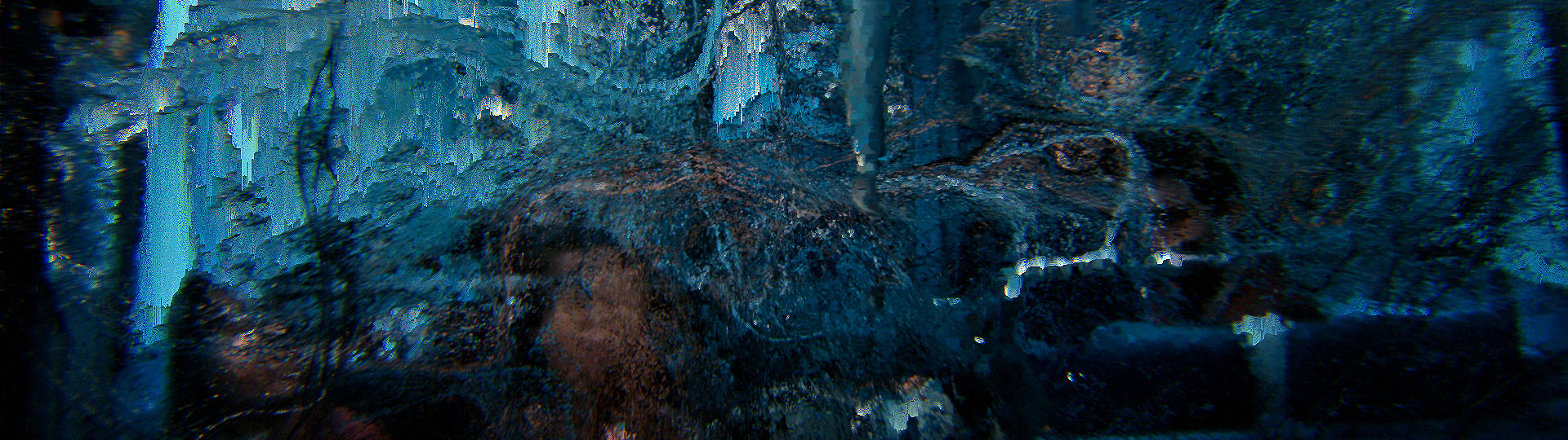 First Contact_Banner_5