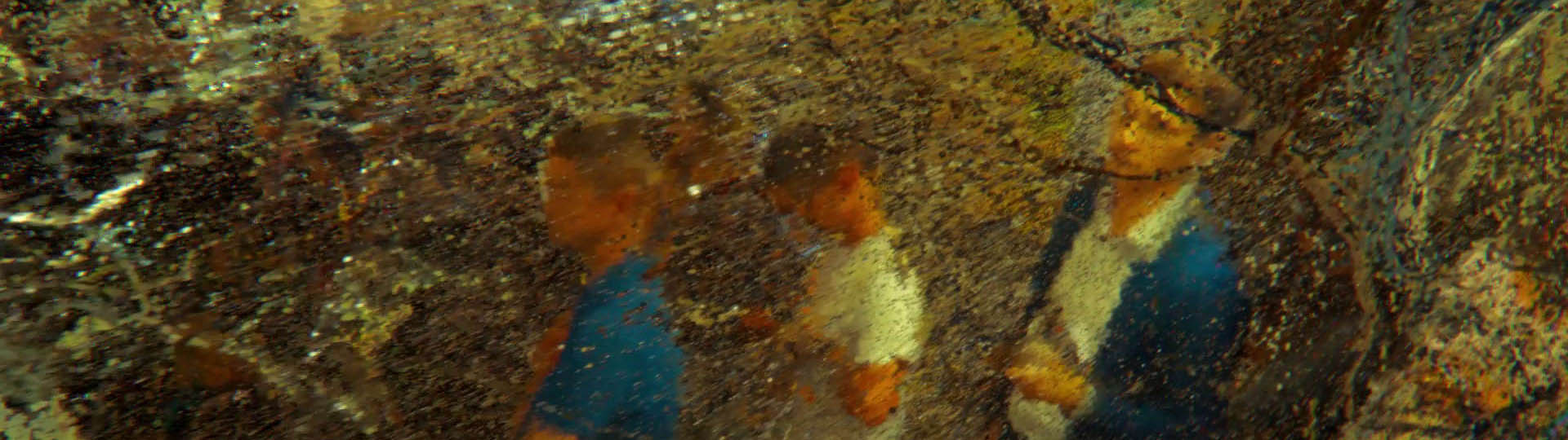 Les Champs Magnetiques_banner_3