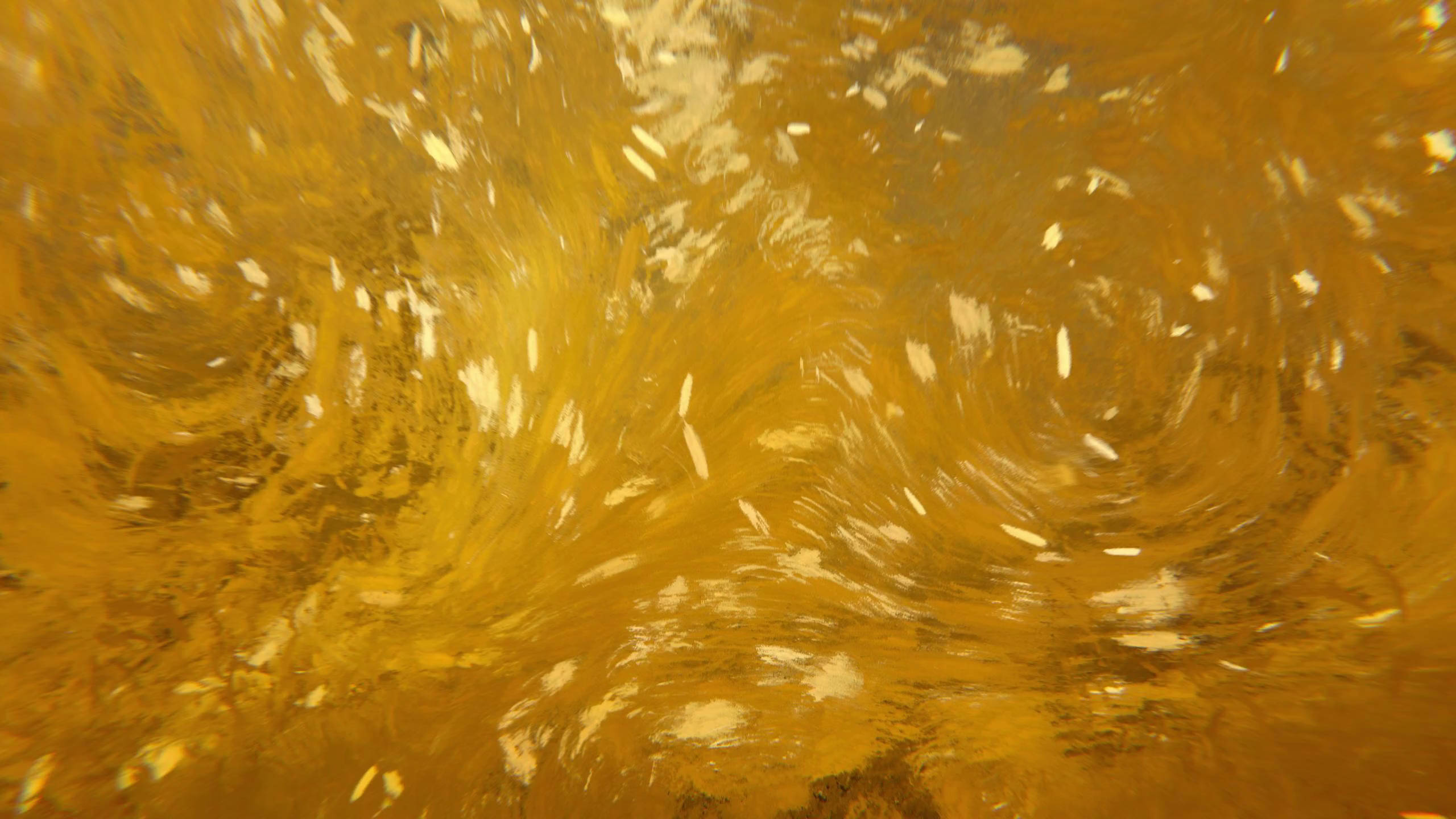 memories-of-turner_2